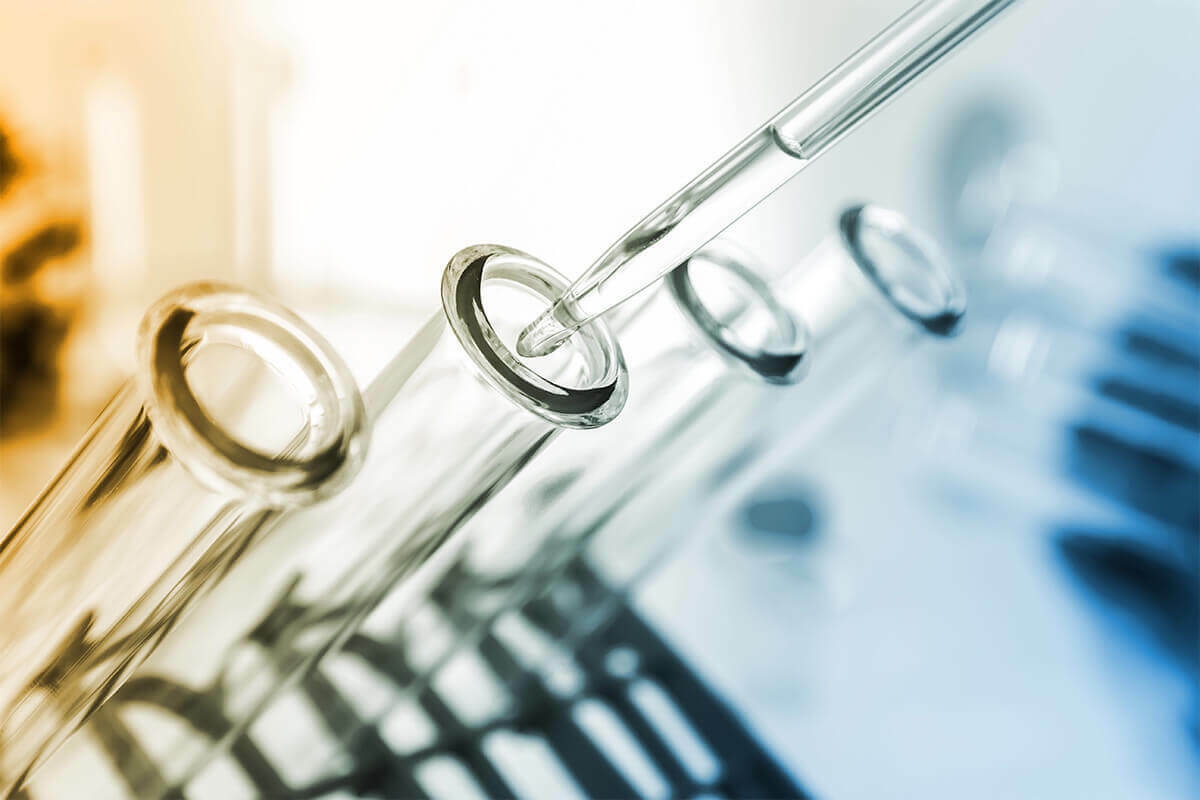2024 Drug Testing & Safety Update: Workplace Strategies | DISA
