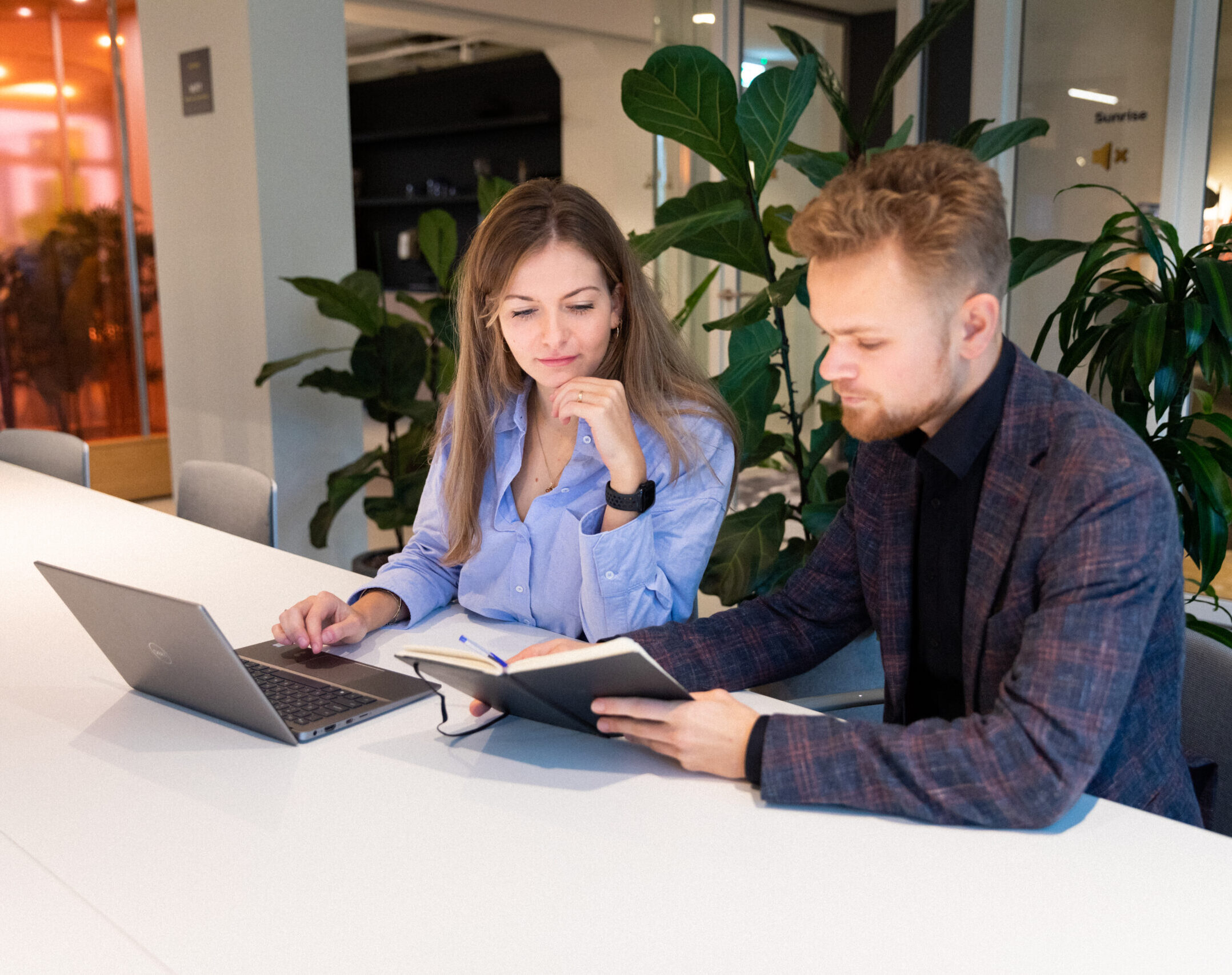 Two colleagues working together behind a computer