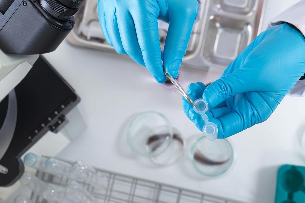 Gloved hands placing a hair into a test vial