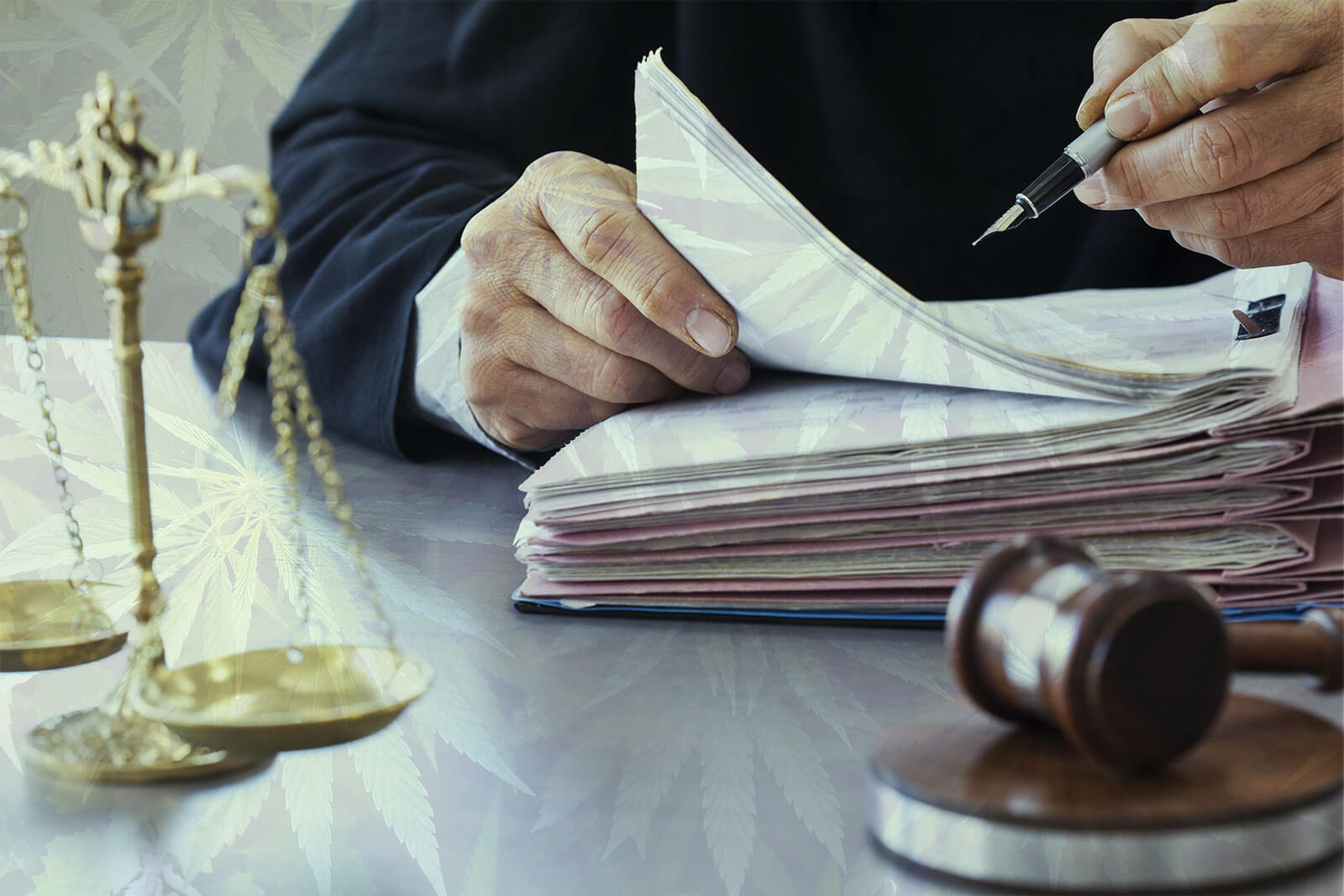 Judge writing with files and gavel with marijuana leaves