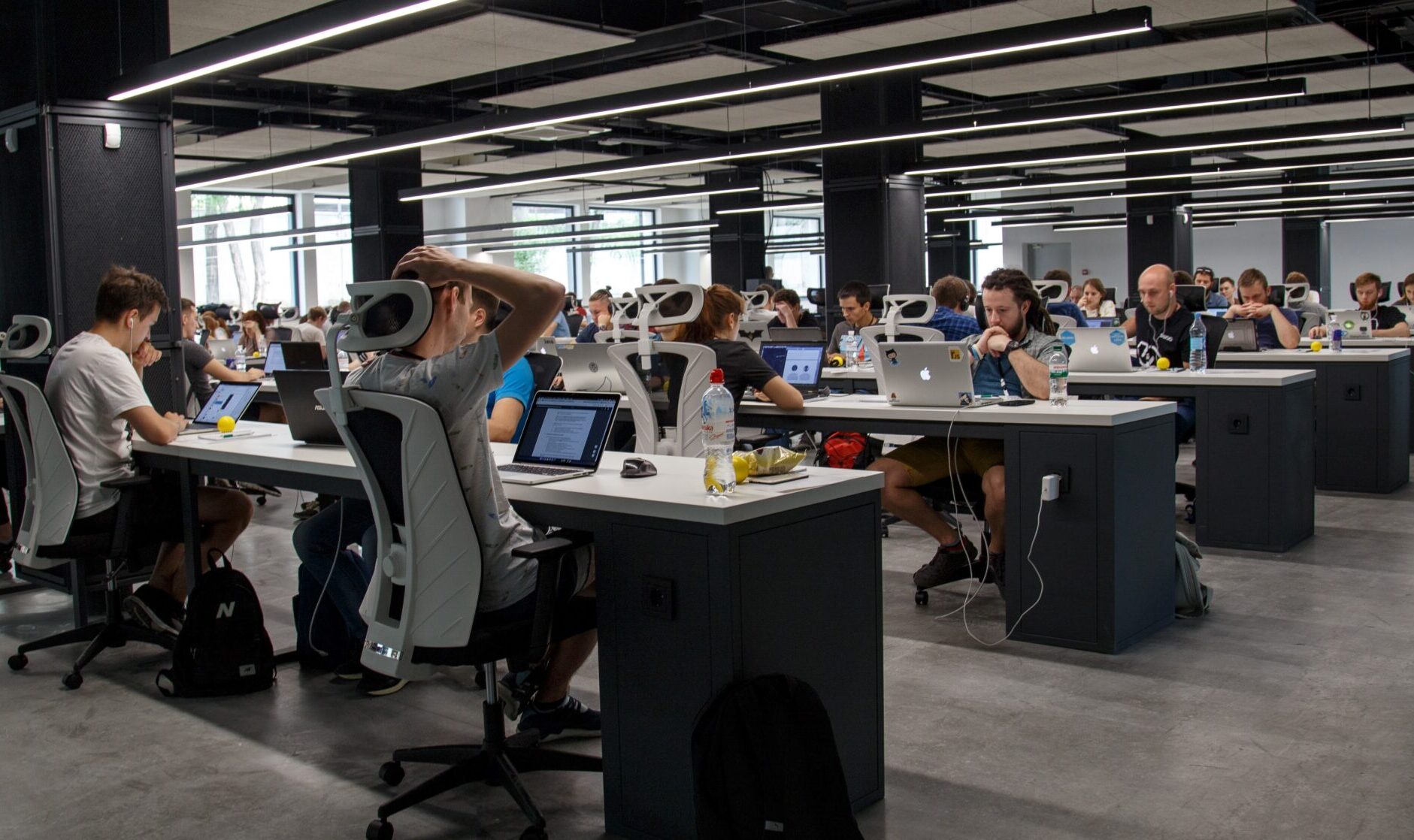 software en telecom collega's aan het screenen